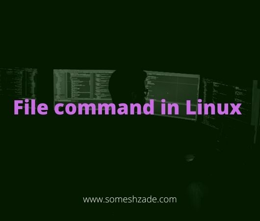 What is file command in linux & How to use file command in linux ...